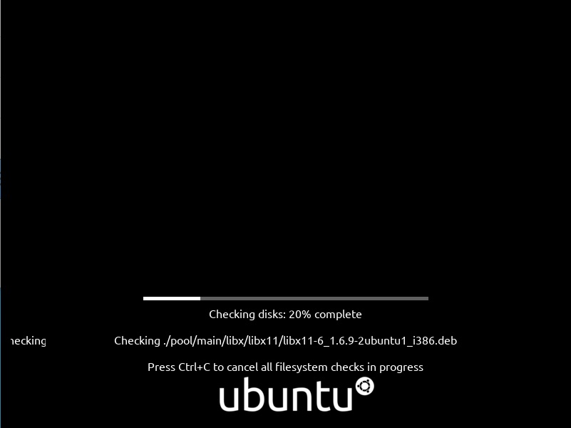 Ubuntu Installation - Loading